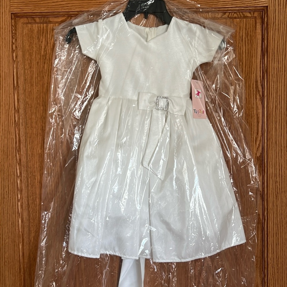 NWT Toddlers flower girl or special occasion dress size 2